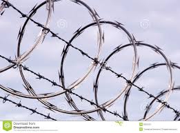 Razor wire (flat wrap)