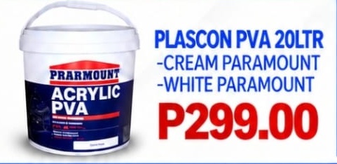 Paramount Acrylic PVA 20 litre paint offer